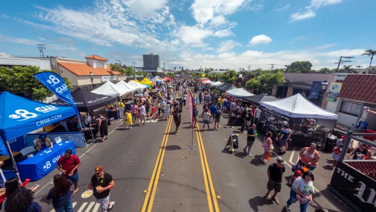 My thoughts on the 2023 Chula Vista Lemon Festival