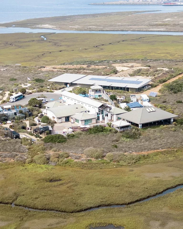 Chula Vista Living Coast Center is a great place to visit