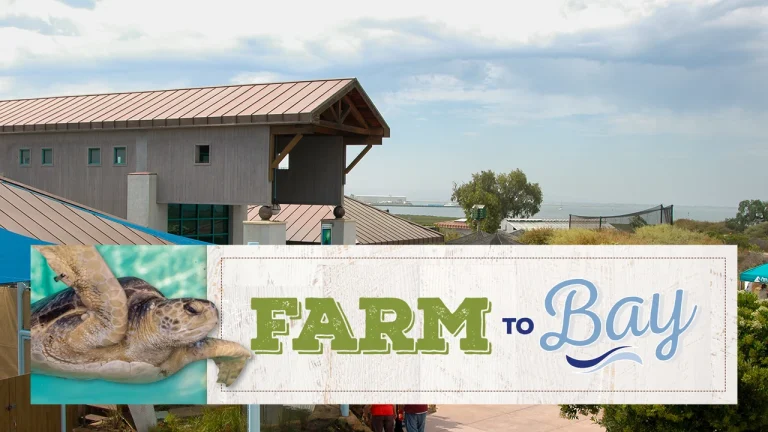 15th Annual Farm to Bay Fundraiser: Conservation, Food, & Fun at the Living Coast Discovery Center