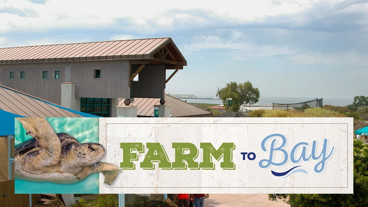Get ready for the Farm to Bay Fundraiser August 3rd