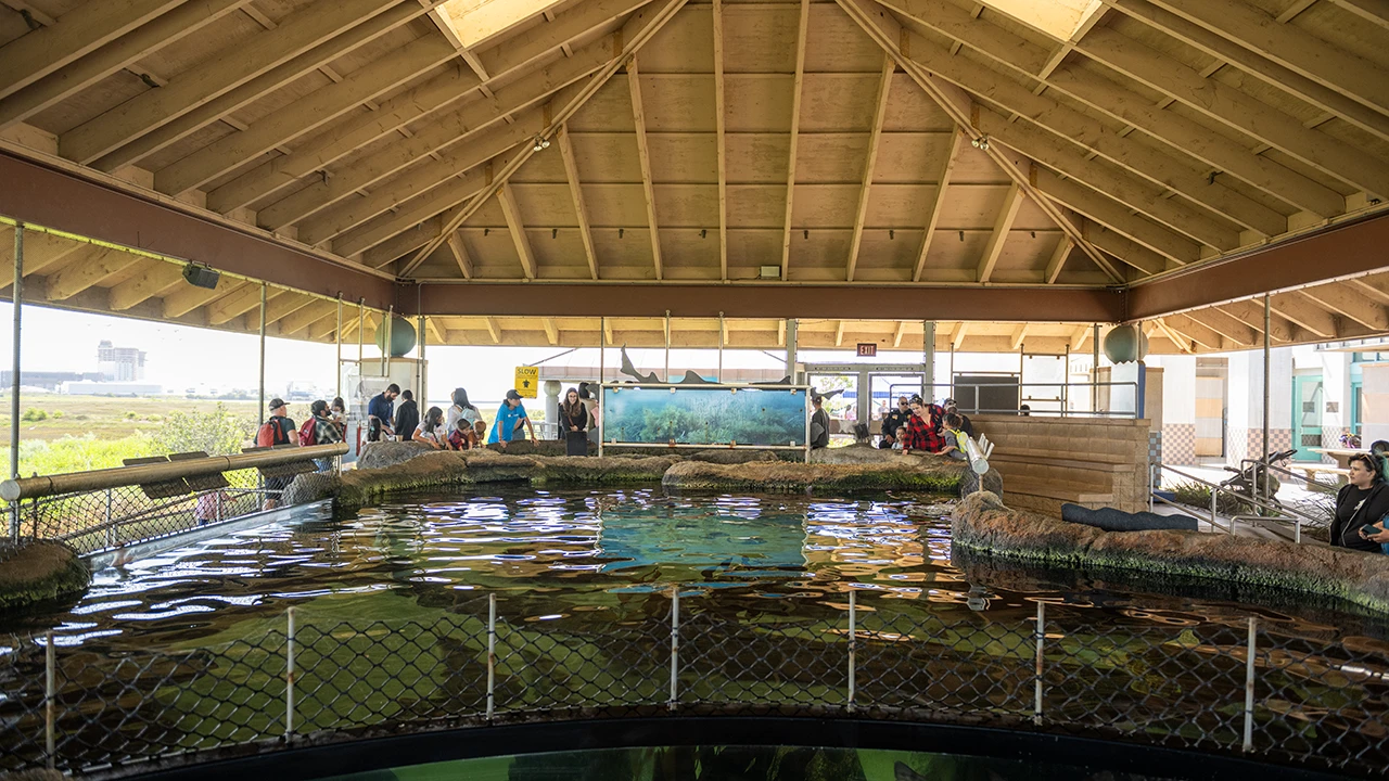 Farm to Bay Fundraiser at the Living Coast Discovery Center