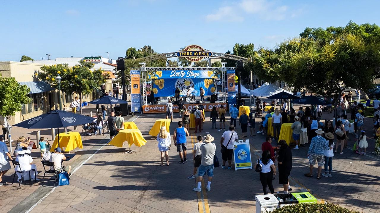 Lemon Festival 2024 event recap