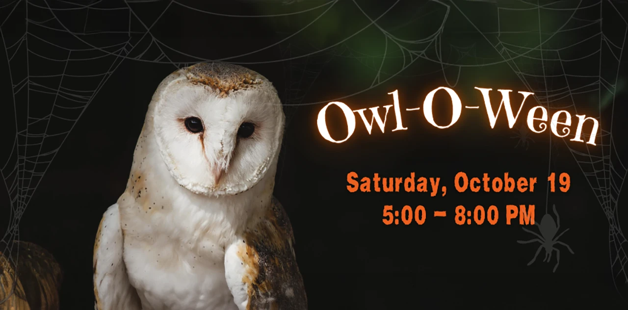 Owl-O-Ween 2024 at the Living Coast Discovery Center