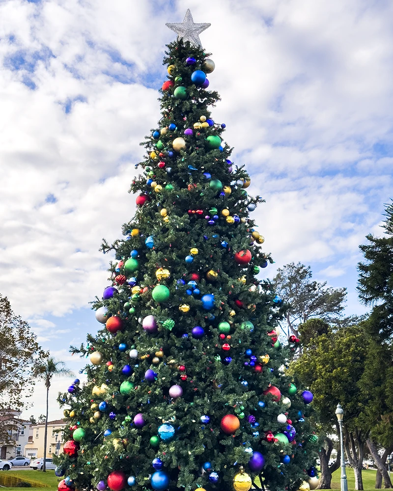 Chula Vista Christmas Tree Lighting