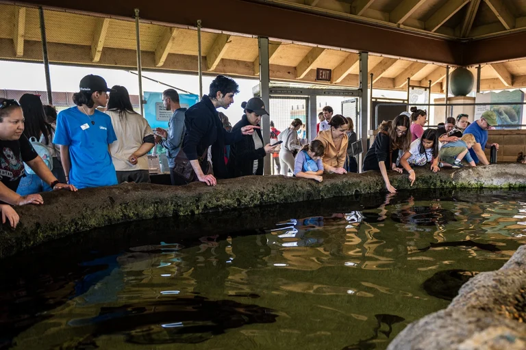 Animals on the Bay Day 2025 Returns with Timed Tickets and Family Fun
