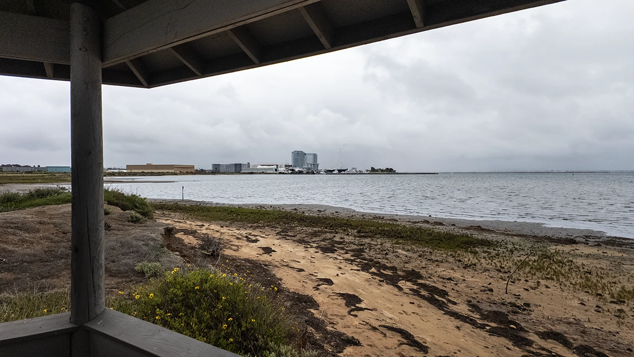 The trails at the Living Coast Discovery Center