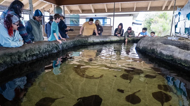 Annual Animals on the Bay Day Draws Big Crowds to Living Coast Discovery Center