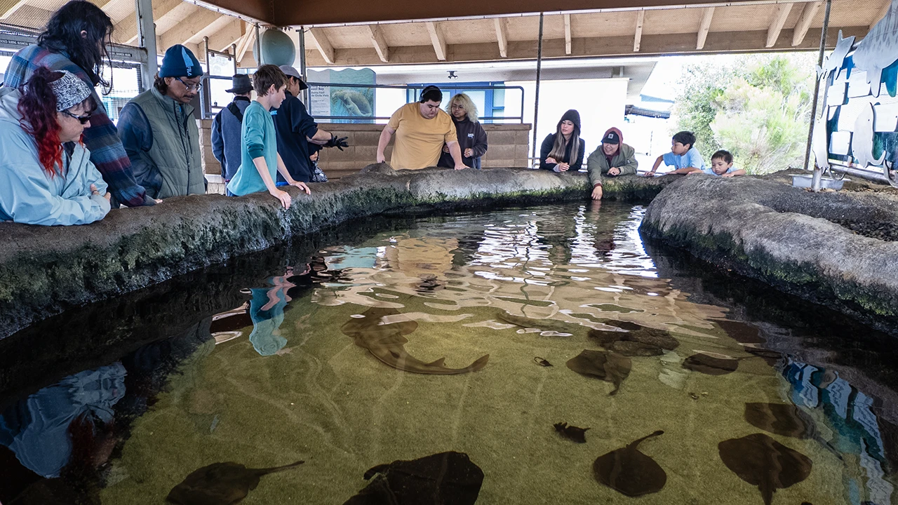 Living Coast Discovery Center