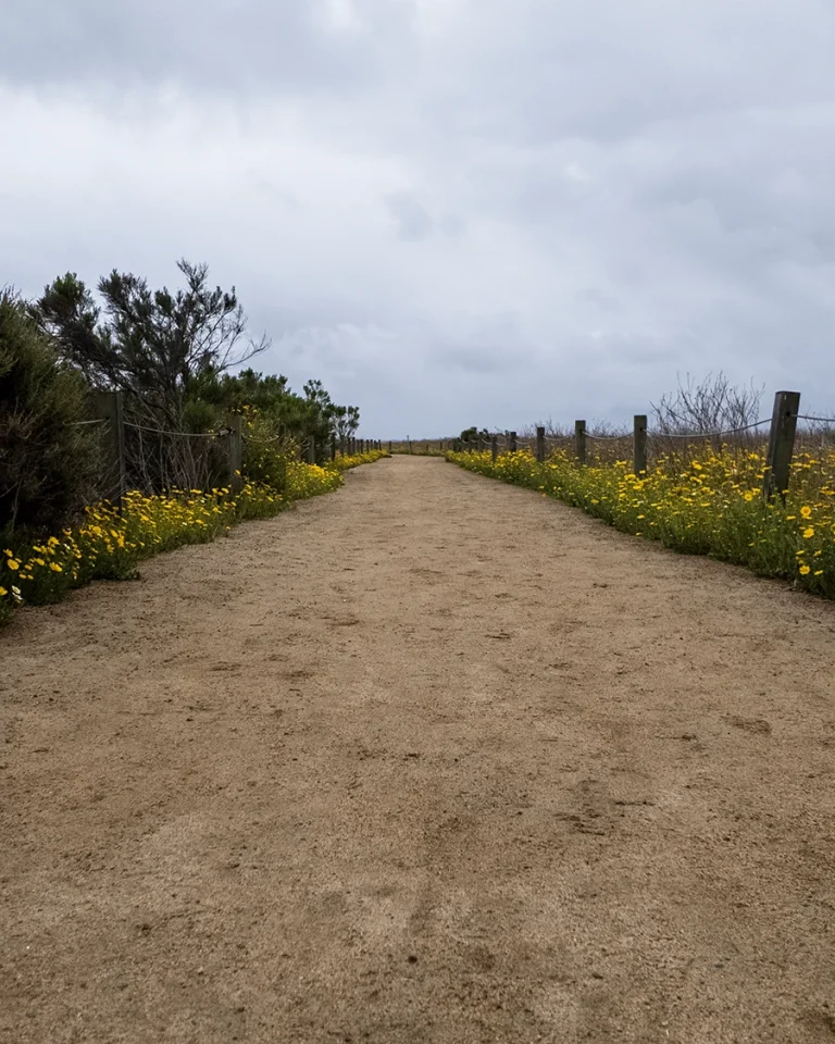 You can walk these trails for free