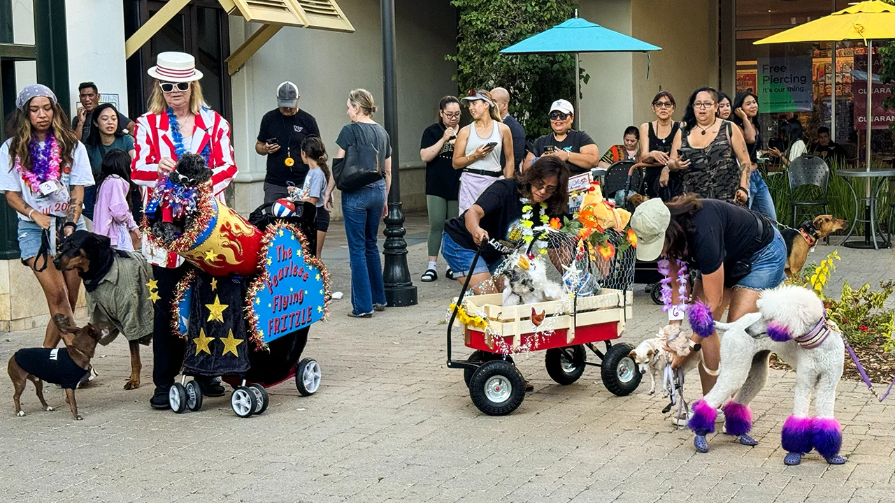 Dog Gone Fun Event July 15 | Otay Ranch Town Center