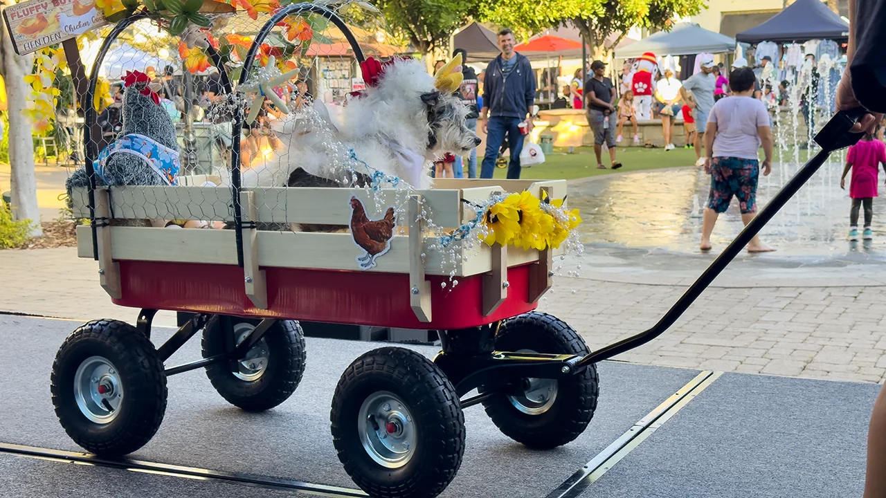 Dog Gone Fun at the Otay Ranch Town Center