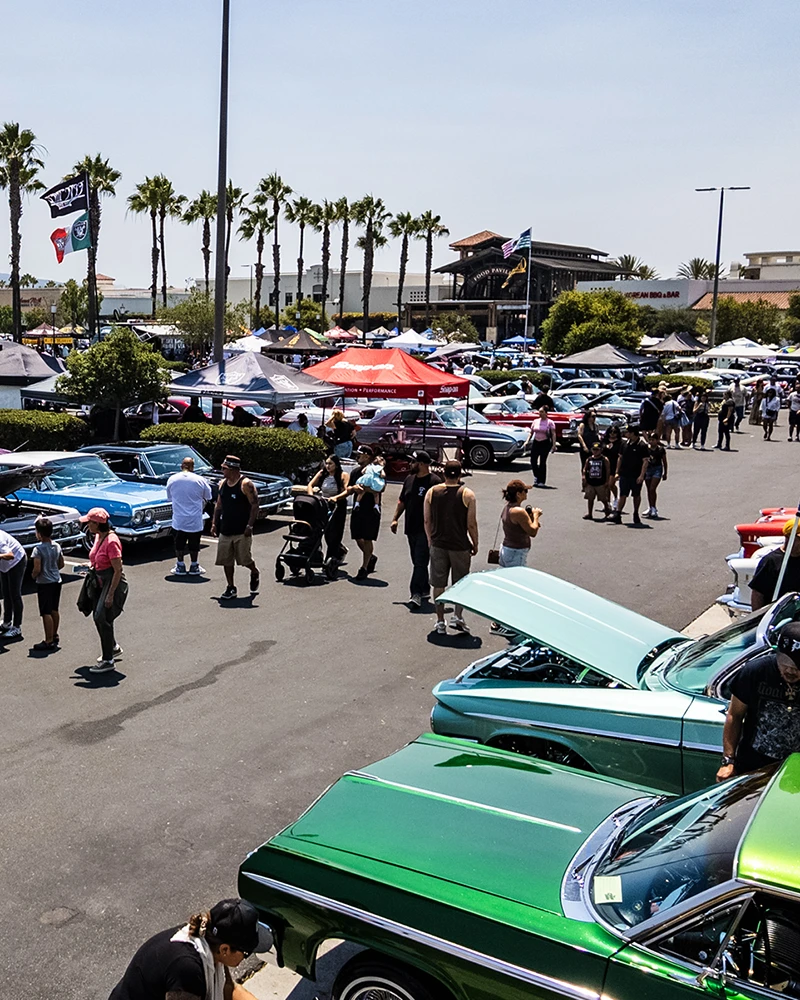 Cruise for the Cause 2025