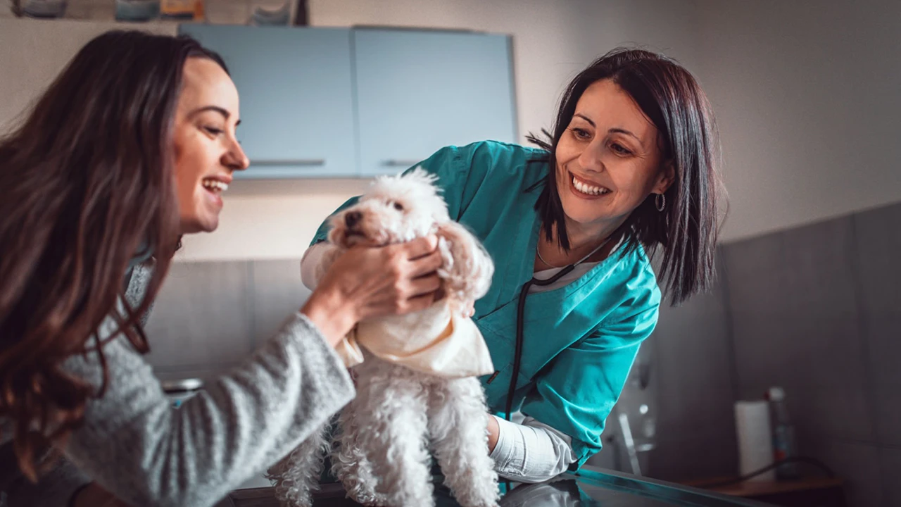 VEG ER For Pets in Chula Vista