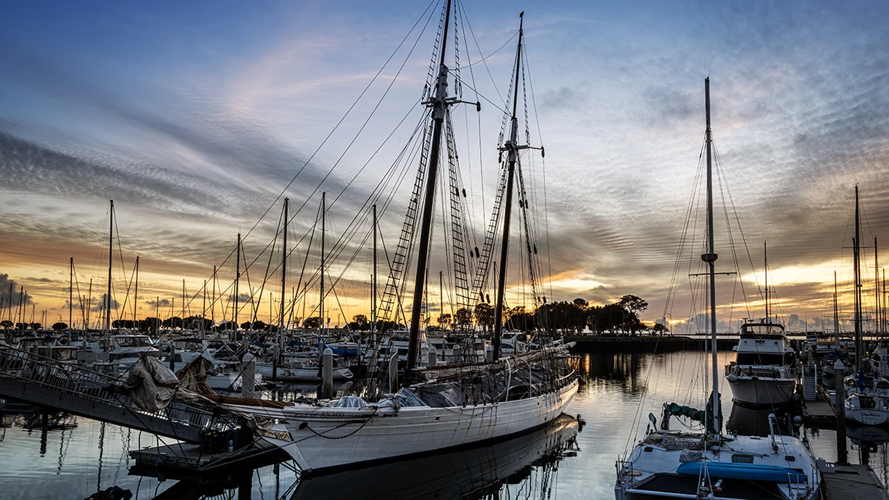 Chula Vista Bill of Rights ship